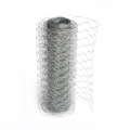 Galvanized Chicken Wire Fencing China Low Price